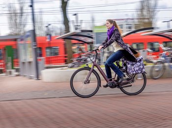 Fiets Naar Station 5749