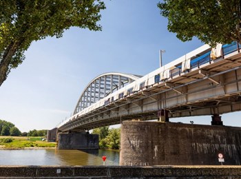 John Frost Brug Bomen