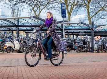 Fiets Naar Station 4834 (1)